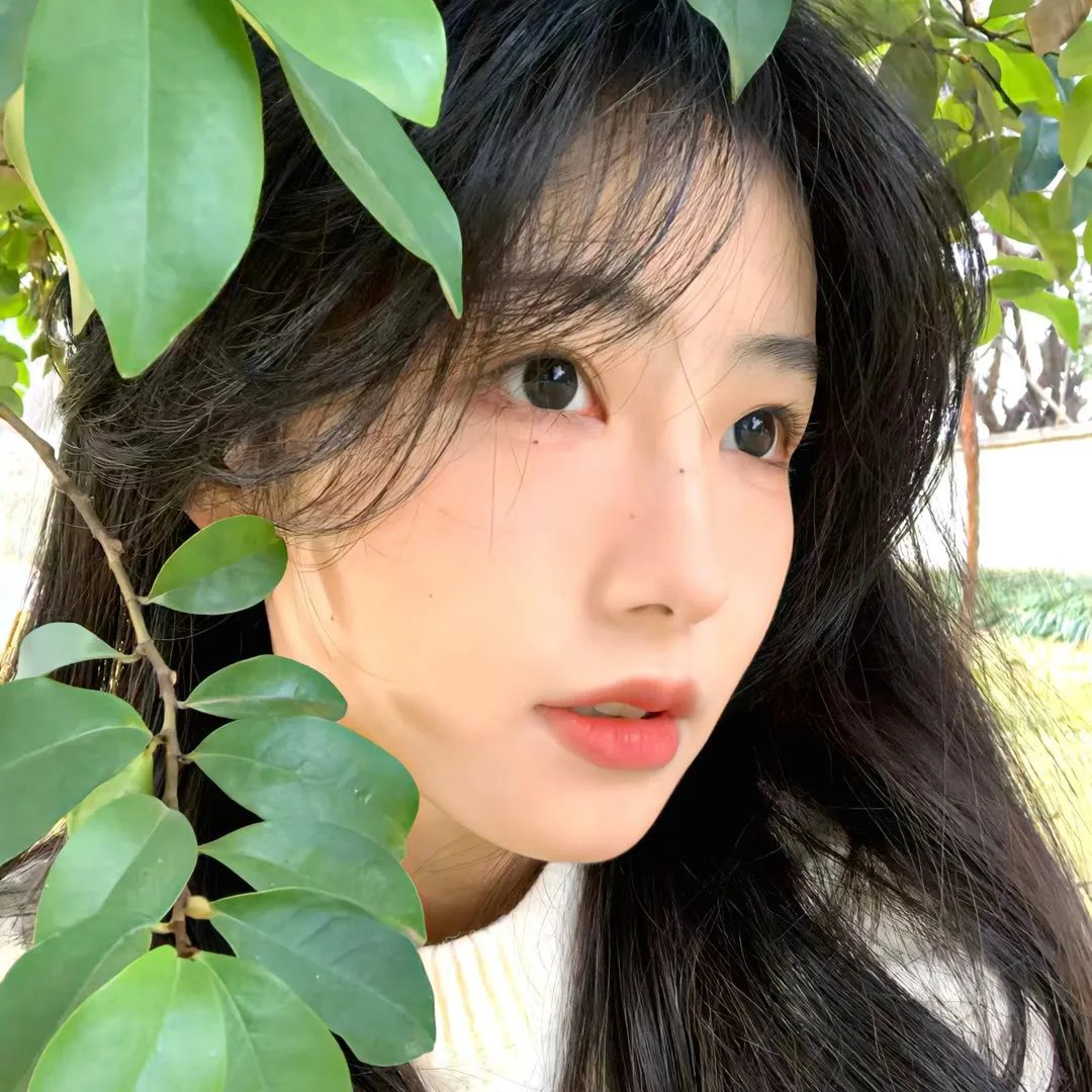 法式触摸2